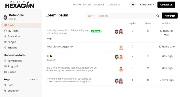 Website Forum Example